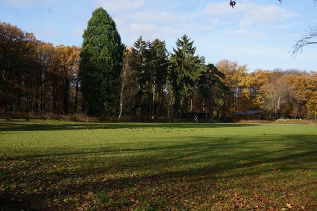 lindenthal