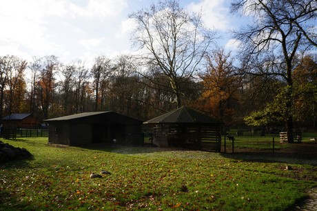 lindenthal