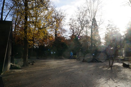 lindenthal