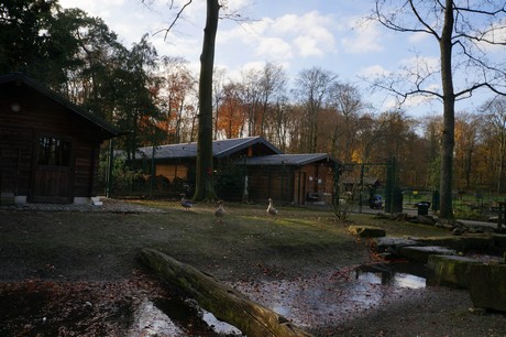 lindenthal