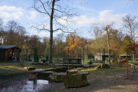 lindenthal