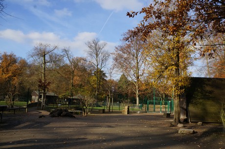 lindenthal