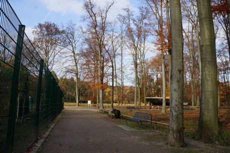 lindenthal