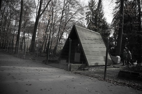 lindenthal
