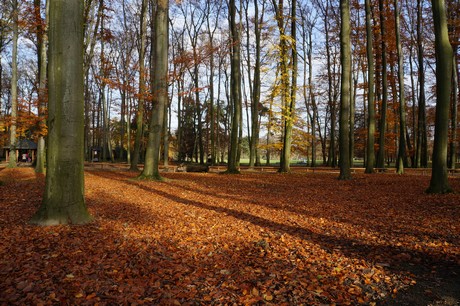 lindenthal