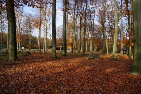 lindenthal