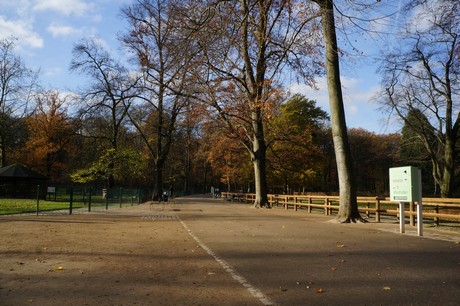 lindenthal