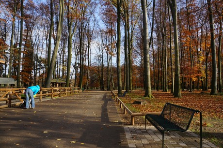 lindenthal