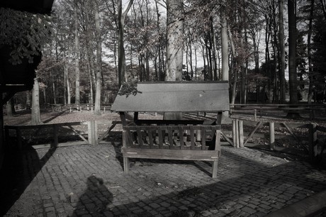 lindenthal