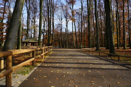 lindenthal