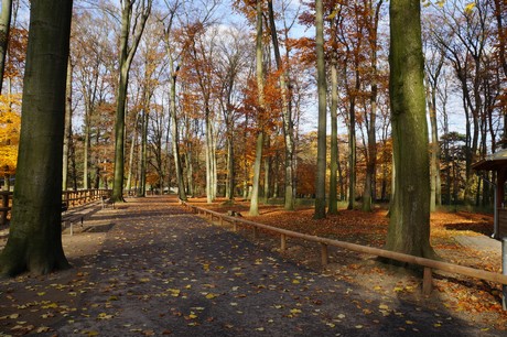 lindenthal
