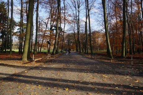 lindenthal