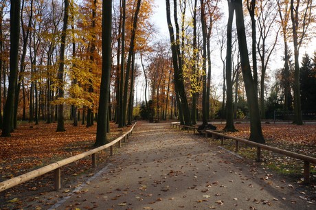 lindenthal