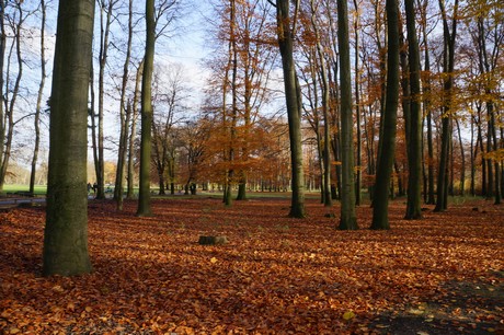 lindenthal
