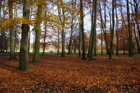 lindenthal