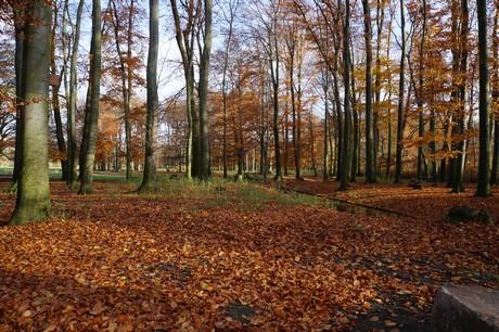 lindenthal