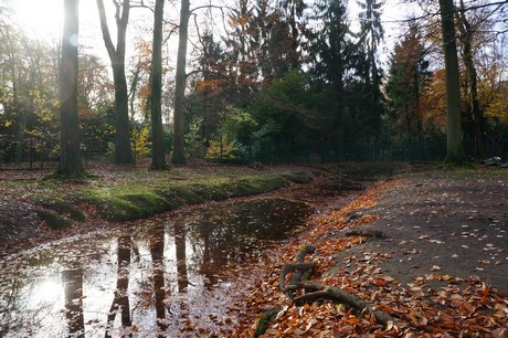 lindenthal