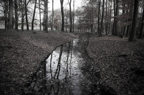 lindenthal