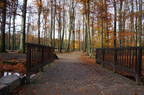 lindenthal