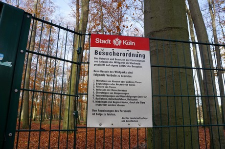 lindenthal