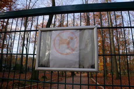 lindenthal