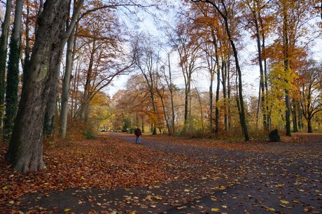 lindenthal