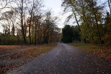 lindenthal