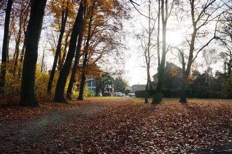 lindenthal