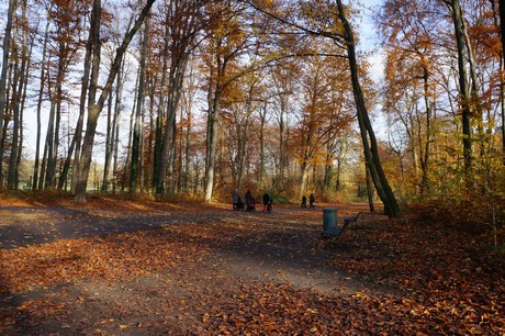 lindenthal