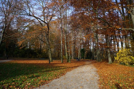 lindenthal