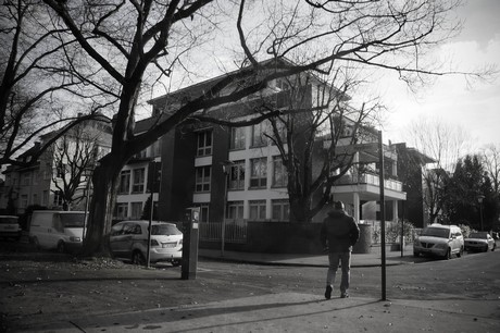 lindenthal