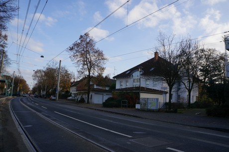 lindenthal