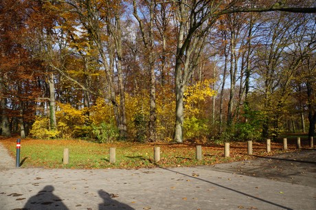 lindenthal