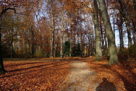 lindenthal