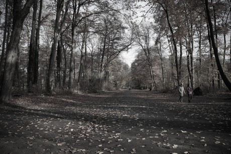 lindenthal