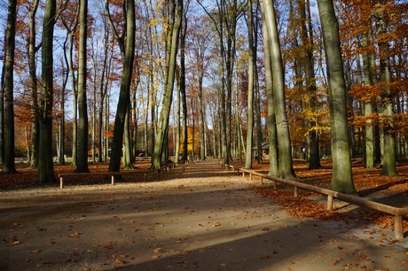 lindenthal
