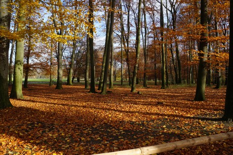 lindenthal
