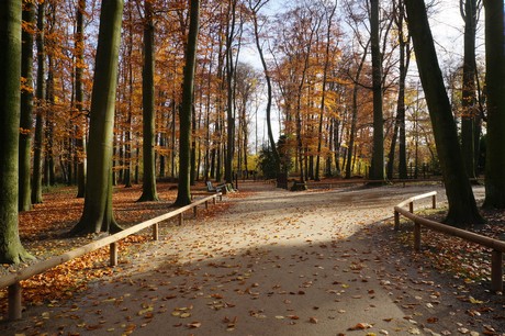 lindenthal