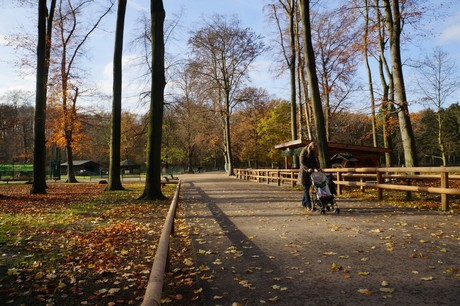 lindenthal