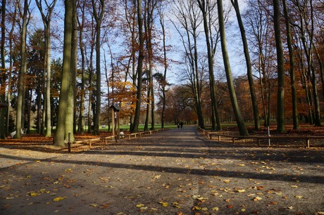 lindenthal