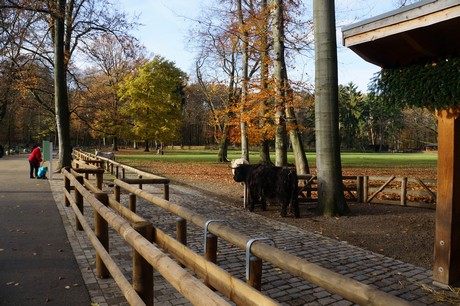 lindenthal