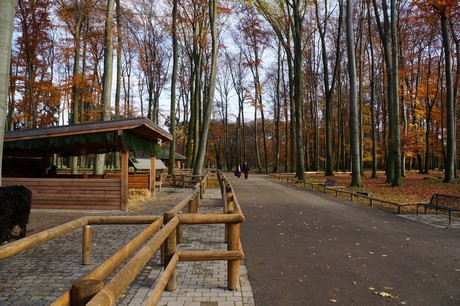 lindenthal