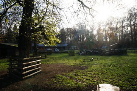 lindenthal