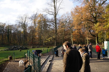 lindenthal