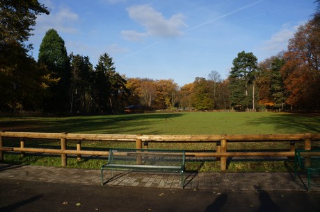 lindenthal