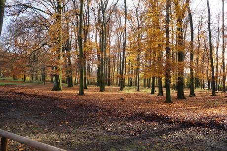 lindenthal