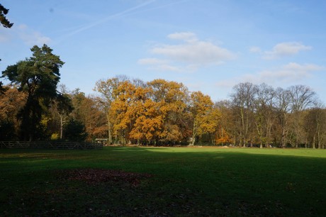 lindenthal