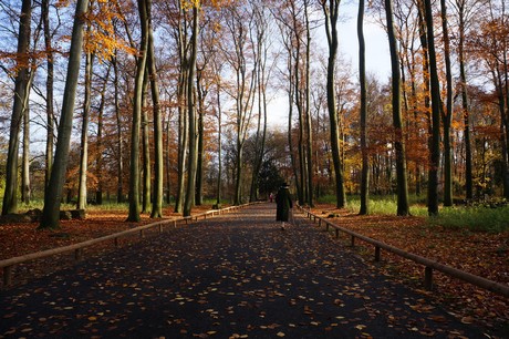 lindenthal