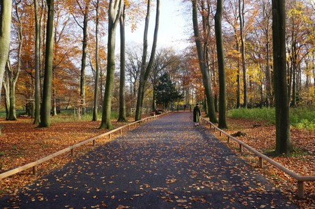 lindenthal