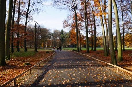 lindenthal